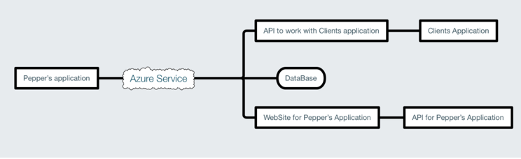 robot pepper initial project architecture